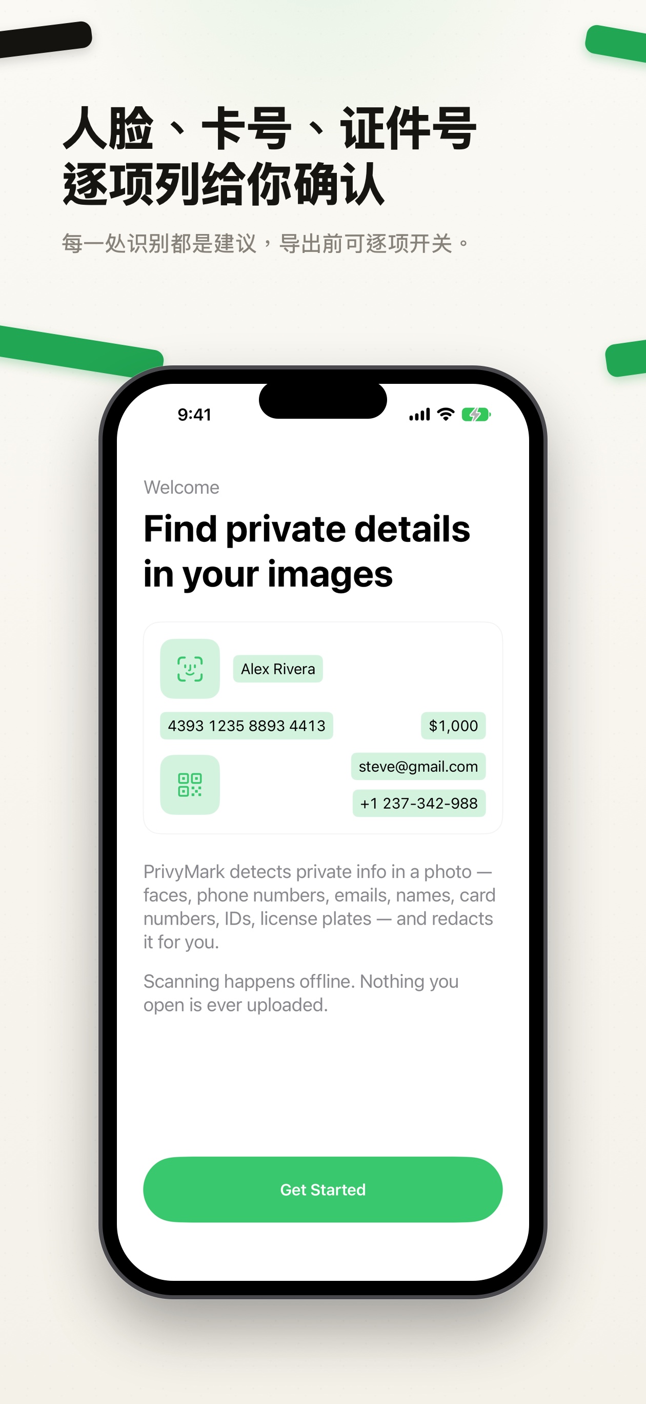 欢迎页：列出 PrivyMark 能识别的内容